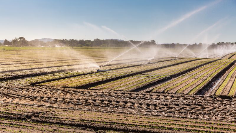 Commercial Irrigation Service in Ventura County, CA