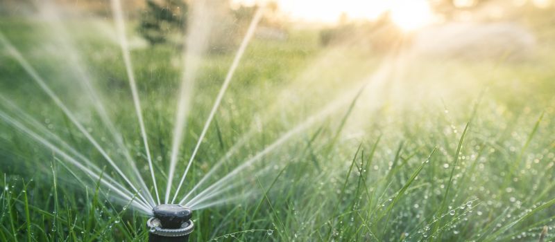 Damaged Sprinkler Repair in Aiken, SC