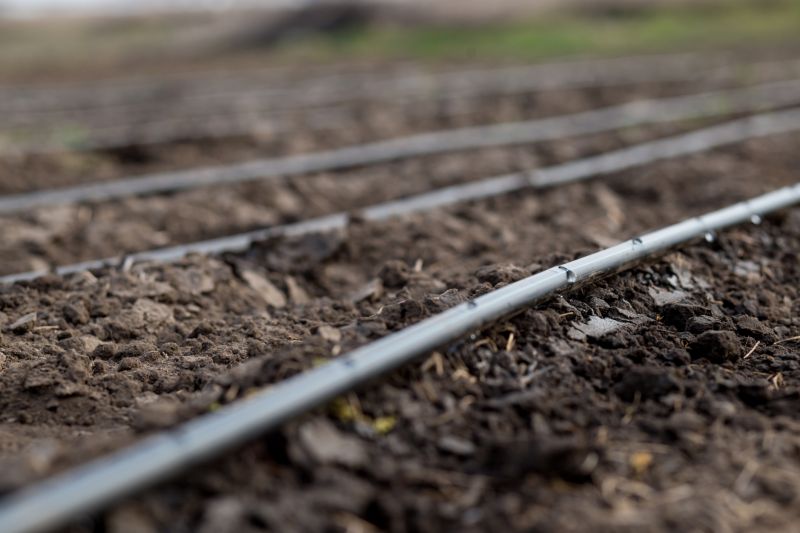 Plant Irrigation Installation in Ventura County, CA