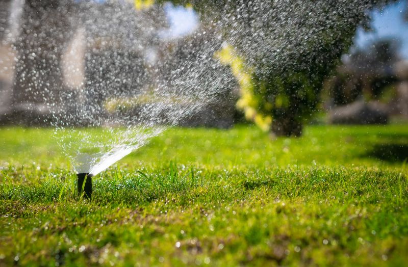 Sprinkler System Optimization in Aiken, SC